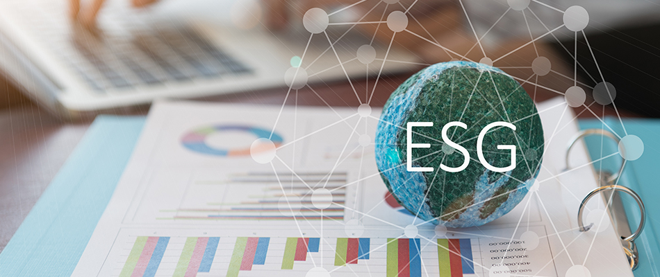 What Is an ESG Index? Understanding Sustainable Investments