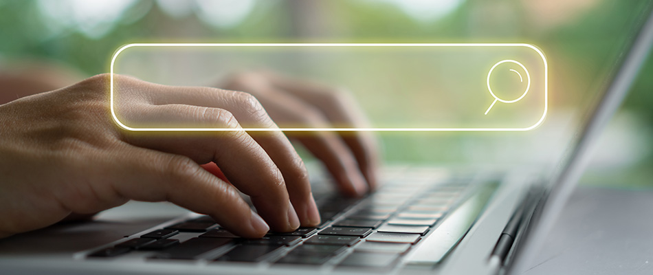 What Is a Search Engine? Examples, Functions, and Importance