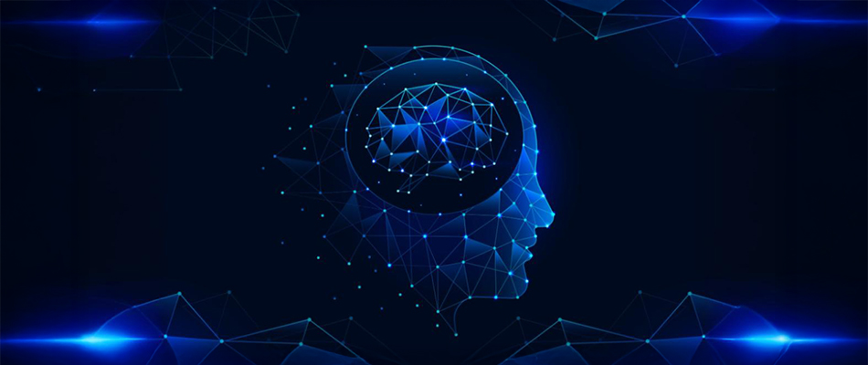 What are Artificial Neural Networks?(ANN)